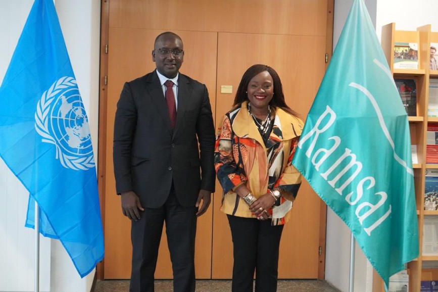 Le Sénégal en action à la « Geneva Peace Week »