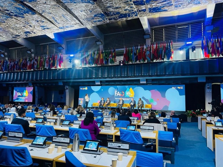 Le Sénégal au Dialogue de haut niveau de Rome sur l’Eau