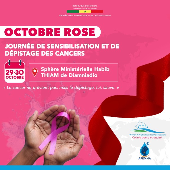 Cellule Genre et Equité, Association des Femmes du Ministère de l'Hydraulique et de l'Assainissement AFEMEA