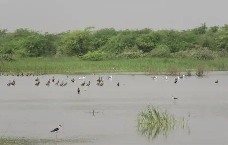 Plan de réinstallation des travaux de réhabilitation du barrage de PANTHIOR
