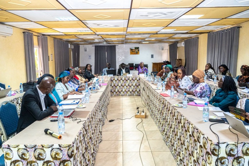 Atelier de révision du Plan d’Institutionnalisation du Genre (PIG) du MHA