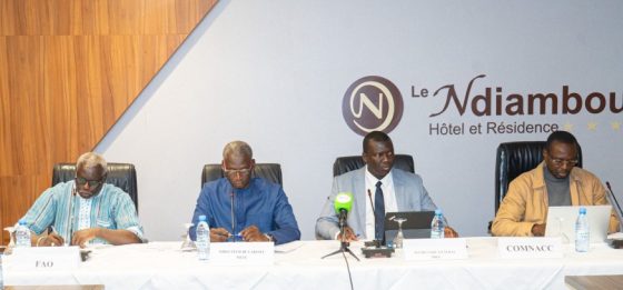 Inondations : une réponse publique intégrée pour une résilience durable