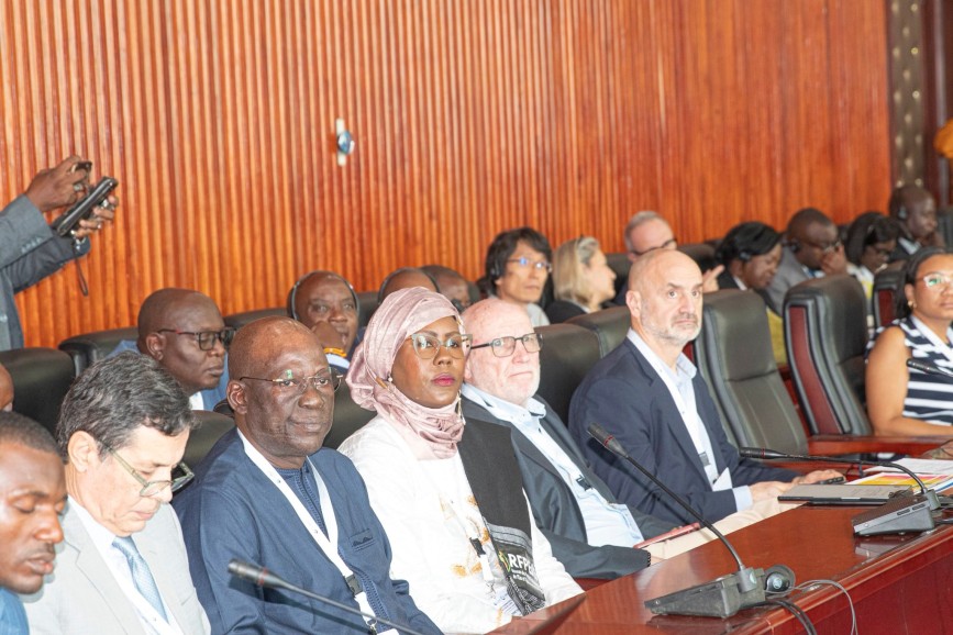 EAU EN AFRIQUE-Réformes, financements et leadership continental