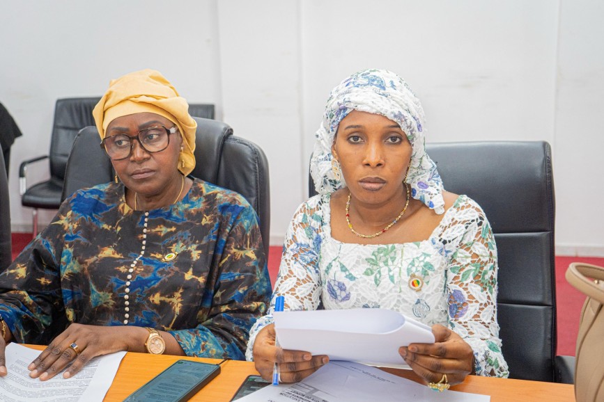 Assemblée nationale, Audition en Commission du MHA
