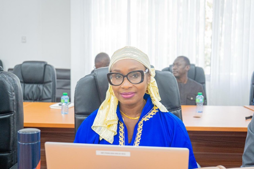 Assemblée nationale, Audition en Commission du MHA