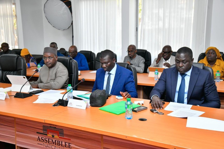 Assemblée nationale, Audition en Commission du MHA