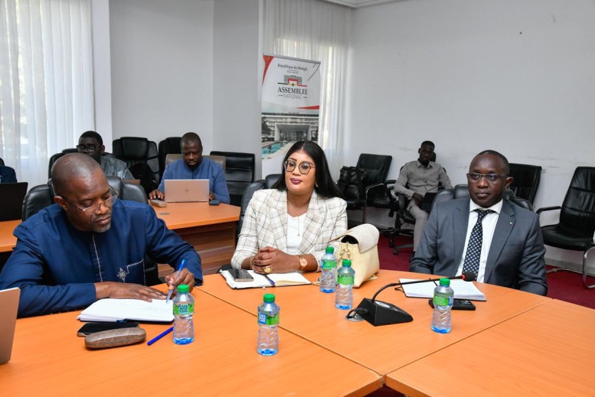 Assemblée nationale, Audition en Commission du MHA