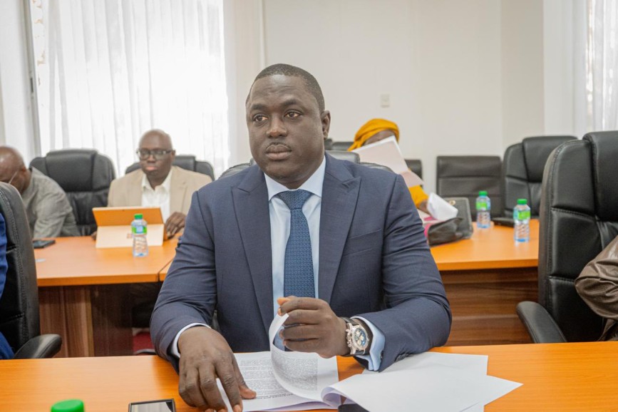 Assemblée nationale, Audition en Commission du MHA